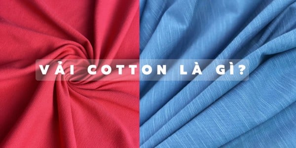 Sợi vải cotton là gì? tính chất, ứng dụng và cách phân biệt với các loại khác